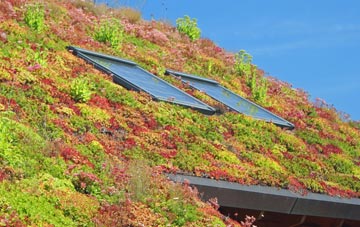 Low Bentham living roof systems